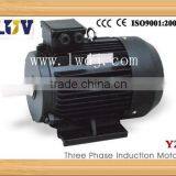 YE3 Super Efficient Motor 380V thumbnail-4