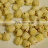 Lotus Seeds thumbnail-2