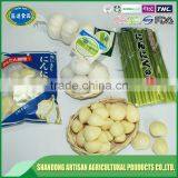 Fresh White Garlic Export Company thumbnail-5