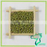 Myanmar Dried Mung Bean Best Selling thumbnail-5