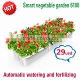 Widely Used Volcanic Rock Planters Pots thumbnail-1