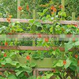 Vegetable Support and Trellis Netting thumbnail-2