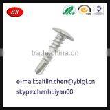 Dongguan Hardware Factory Custom Steel Screw thumbnail-3