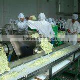 Custom Design Fruit And Vegetable Processing Line Machines thumbnail-4