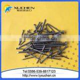 Common Nail/Common Wire Nail/Common Iron Nails thumbnail-4