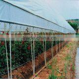 Agricultral Transparent Hdpe uv Resistant Plastic Film for Greenhouse thumbnail-5