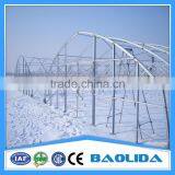 Cheap Agricultural Single Tree Greenhouse thumbnail-6