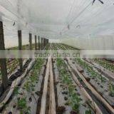 Ldpe Agriculture Greenhouse/mulch Film thumbnail-1