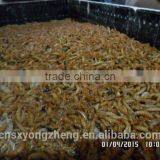 Pet Food Good Quality High Protein 2.8 cm Freeze Dried Mealworm thumbnail-6