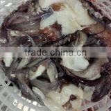 Frozen Bait of Giant Squid Tentacle thumbnail-1