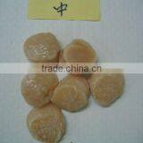 Sea Scallops Adductor thumbnail-1