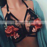 2017 Ladies Latest Design With Lace Bra thumbnail-1