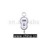 Sell Fishing Scale thumbnail-1