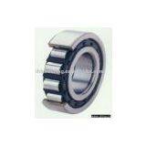 Cylindrical Roller Bearing thumbnail-1