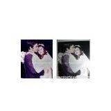 oil painting from photo