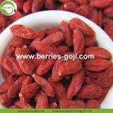 Factory Supply Nutrition Dried Organic Goji Berries