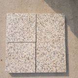 China Rusty Beige Granite Floor Tiles Kitchen Countertops at Low Price