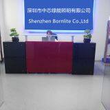 Shenzhen Bornlite CO.,LTD company overview - view 1 thumbnail