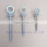 Rigging Hardware Stainless Steel 304 316 Eye Bolt thumbnail-1