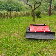 Track Mower, China Remote Control Brush Mower Price, Remote Control Brush Cutter for Sale thumbnail-4