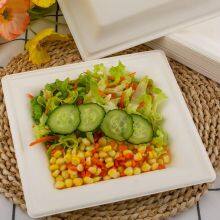 10”Hot Selling Party Restaurant Eco-Friendly Disposable Biodegradable Plates Sugarcane Bagasse Square Plates(500/ Case) thumbnail-4