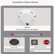 Прочный шкаф для хранения газовых баллонов из холоднокатаной стали для кислорода, азота, аргона | Топливно-стойкое и коррозионно-стойкое хранилище thumbnail-4