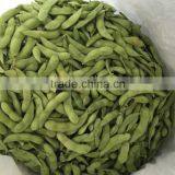 Frozen Soybean thumbnail-1