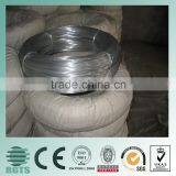 Galvanized Iron Wires/steel Wire thumbnail-4