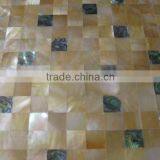 Natural Abalone Pearl & Yellow Pearl Mosaic Wall Tile