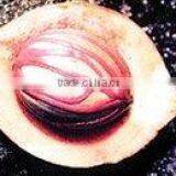 Mace Oleoresin thumbnail-1