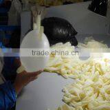 Medical Latex Examination Gloves, Powdered or Powder Free thumbnail-2