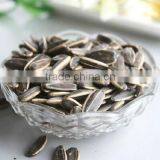 Sunflower Seed 4009 thumbnail-1