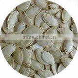 2014 Hot Sale Best Quality Chinese Sunshine Pumpkin Seeds Price thumbnail-1