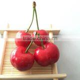China Paper Bagged Fresh Cherries thumbnail-5
