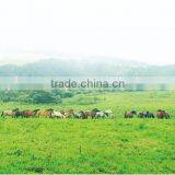 Durable and Cheep Glycerin Lotion for Industrial Use , Sample Also Available thumbnail-3