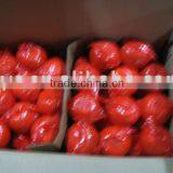 Honey Mandarin( Fresh Mandarin,Chinese Mandarin,Y-001) thumbnail-1