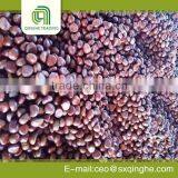 Fresh Chestnut Insell for Wholesales thumbnail-4