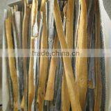 CINNAMON thumbnail-5