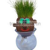 Grow-A-Head Marine Life Shark