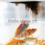 Feed Additives for Livestock Poultry thumbnail-5