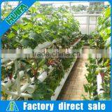 Full Set High-yield Vertical Hydroponic Growing System for Lettuce, Spinach thumbnail-6
