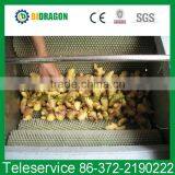 Fresh Ginger Washing and Peeling Machine