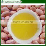 Automatic Stainless Steel Mini Home Use Peanut Oil Press Machine thumbnail-2