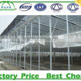 Hot Sale Low Cost Single-span Commercial Greenhouse thumbnail-4