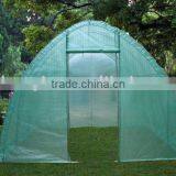 Tunnel Greenhouse thumbnail-1