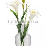 Glass Flower Vase(HLTH-002) thumbnail-5