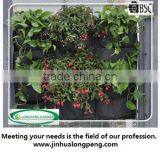 Outdoor Wall Planters With Pocket,Vertical Garden Pots and Planters thumbnail-1