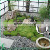 Border Edging for Lawns thumbnail-1