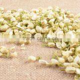 Agra Boutique Taiwan Jasmine Flower Importers Jasmine Tea thumbnail-3