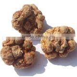 100% Natural Notoginseng Sanqi Extract 20 PCS Per 500g thumbnail-1